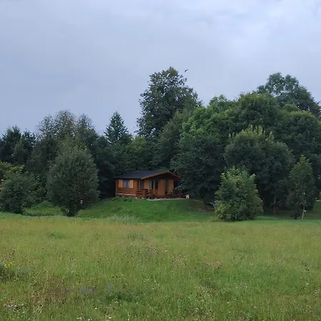 Alojamento de Turismo Selvagem Sasinowe Nad Jeziorem *