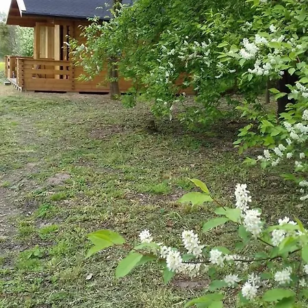 Sasinowe Nad Jeziorem Lodge *