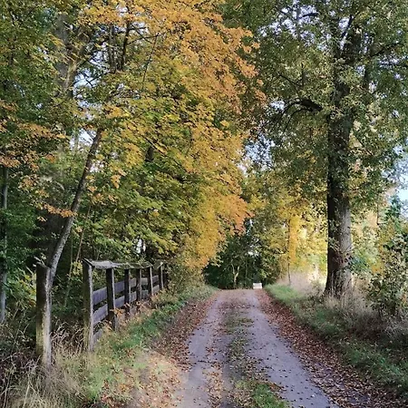 Sasinowe Nad Jeziorem