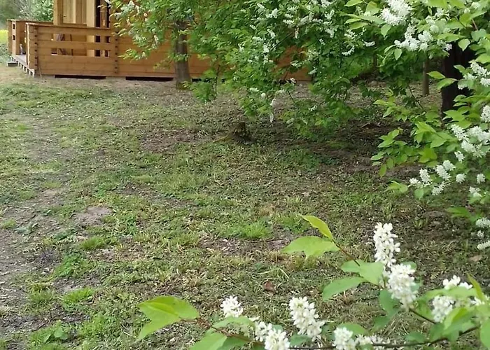 Sasinowe Nad Jeziorem Lodge *