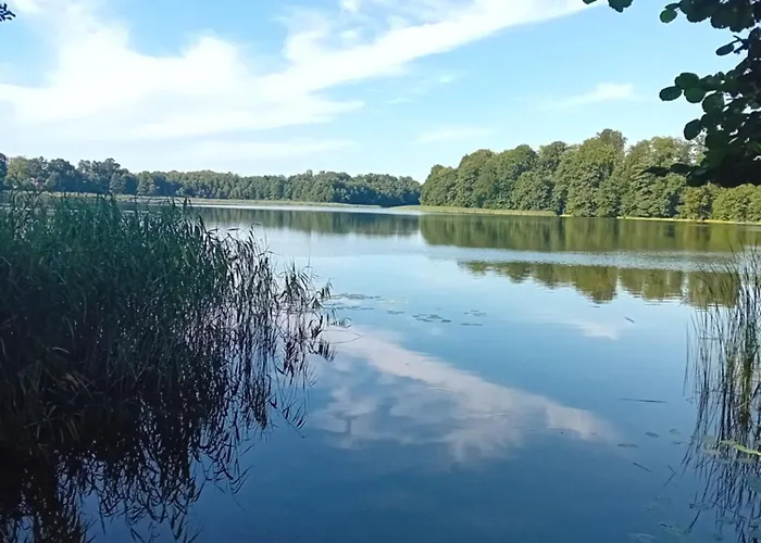 Sasinowe Nad Jeziorem * Maldyty